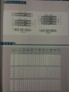 B系列直板滾子鏈