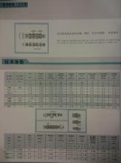 發(fā)動機鏈（正時鏈）